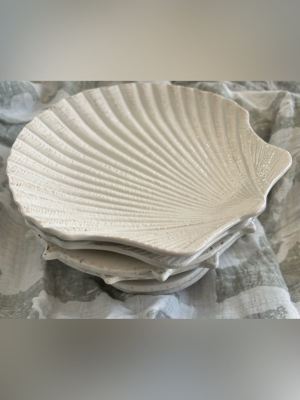 Shell Plates, Set of 6